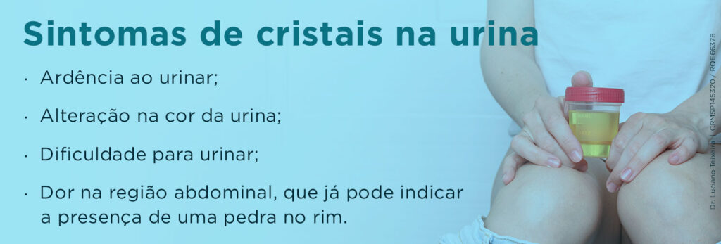 Cristais Na Urina Tudo O Que Você Precisa Saber Dr Luciano Teixeira