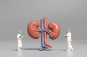 Quando você está com problemas no rim, alguns sintomas podem alertá-lo para a necessidade de uma avaliação médica. Veja neste texto quais sinais e sintomas de quem tem problema no rim. Quais os sintomas de problema no rim? Do tamanho de um punho fechado, cada um dos dois rins têm a função de filtrar água, resíduos do sangue e formar a urina. Quando há um problema no rim, os sintomas podem ser o principal indicativo de que o órgão não está cumprindo bem o seu papel. Geralmente, quando os rins não estão funcionando direito, as toxinas começam a se acumular e provocam reações em seu corpo. Sabe por quê? Os rins também produzem um hormônio que informa ao corpo sobre a necessidade de criar glóbulos vermelhos, mas quando sua função está prejudicada, o sangue não consegue fornecer o oxigênio necessário para o seu cérebro e músculos. É muito importante buscar um especialista para uma avaliação médica, especialmente se a pessoa tem hipertensão ou diabetes, porque nestes casos há um risco maior de desenvolvimento de doença renal. Quanto antes vier ajuda médica, mais cedo pode ser iniciado um tratamento que poderá evitar uma doença renal crônica. Assim, aos primeiros indícios, procure um médico especialista. Problema no rim: sintomas que merecem atenção Existem vários sintomas de problema no rim. Conheça alguns: Alterações na urina e no comportamento miccional Quando a pessoa percebe que a urina está com uma aparência diferente, que pode revelar uma pigmentação mais escura ou até estar espumosa, pode ser sinal de uma doença renal. No caso da urina espumosa pode ser o indício de presença da proteína albumina. Além disso, uma urina mais escura, com tonalidade amarronzada pode indicar sangue na urina, em função de infecções urinárias, pedras nos rins ou até tumores renais. Outra alteração importante é no cheiro da urina. Se estiver mais forte e até fétido, pode indicar uma infecção renal. Além disso, a pessoa pode perceber que está com um comportamento miccional diferente, por exemplo, vontade frequente de urinar, porém, percebe uma diminuição na quantidade de líquido, etc. Neste caso, também pode ser um sintoma de infecções do trato urinário. Além disso, quando a pessoa começa a ter muito mais necessidade de ir ao banheiro à noite, pode ser sinal que os filtros dos rins estão danificados. Leia mais: Dor nos rins Nefrite Dores lombares Quem está com problemas renais, as dores constantes nos flancos e fundo das costas estão entre os principais sintomas. Esse é um dos sintomas mais típicos das crises agudas de pedra no rim Pés e rosto inchado Por não estar cumprindo bem a função, o rim não consegue se livrar do sódio e os líquidos se acumulam no organismo. Assim, inchaços podem surgir em várias partes do corpo, como pernas, pés, tornozelos e até o rosto. Especialmente se houver um inchaço persistente ao redor dos olhos, é preciso ficar atento porque pode ser que os filtros renais danificados estejam deixando passar uma grande quantidade de proteína na urina. Indisposição crônica Em quem está com problema no rim, um sintoma típico é a fadiga crônica. A pessoa se sente esgotada, fraca, com tonturas e com problemas de concentração e memória pela diminuição dos glóbulos vermelhos. Cãibras Quando há um desequilíbrio nos níveis de potássio, cálcio e sódio porque os rins não estão funcionando bem, as pessoas podem sofrer cãibras em várias partes do corpo. Falta de apetite Quem tem problema nos rins também pode ficar com o estômago revirado, sentir náuseas e vomitar, o que provoca um baixo apetite. Além disso, problemas renais também podem causar um sabor metálico na boca, que é resultado das toxinas presentes na corrente sanguínea. Alterações do sono Estudos também estão apontando uma provável relação da doença renal crônica com a apneia. A apneia por si só pode causar prejuízos aos rins porque impede o corpo de receber a quantidade de oxigênio necessário. Por outro lado, a doença renal crônica também pode causar apneia do sono. Problemas na pele Devido à incapacidade do rim, as toxinas se acumulam no sangue e isso pode provocar erupções cutâneas e coceiras pelo corpo. Com o problema do rim, com o tempo, a pele também pode ficar seca e manifestar coceiras pela falta de nutrientes e até surgimento de doenças ósseas e minerais, que geralmente acompanham a doença renal avançada. Falta de ar A falta de ar provocada por acúmulo de líquidos nos pulmões pode ser um indicativo de problema no rim. Quais são os principais problemas renais que levam a esses sintomas? A pedra nos rins e infecções urinárias são as patologias mais conhecidas, porém, esses sintomas podem ser fruto também de outras doenças, como: Nefrite; Doença policística renal; Hidronefrose; Insuficiência renal; Infecções renais (pielonefrite); Lesão renal aguda. Na lesão renal aguda, o caso é de tratamento urgente porque os rins param de funcionar subitamente. Tratamentos para os problema no rim e sintomas Cada tipo de problema no rim vai exigir um tipo de tratamento. No caso de pedra no rim, em muitas vezes, será necessária uma medicação analgésica para aliviar os sintomas e acompanhamento para constatar que o cálculo foi eliminado. Em alguns casos, a pedra é muito grande para passar pelo canal urinário, então é necessário um procedimento cirúrgico. entre as opções estão a litotripsia e a ureterorrenolitotripsia. No caso da pielonefrite, o uso de antibióticos é a principal indicação para impedir a multiplicação dos agentes infecciosos que possam lesionar os rins de forma permanente. No caso da nefrite aguda, uma das medidas médicas é a eliminação do excesso de fluidos e proteínas perigosas ao organismo, fazendo o controle da pressão arterial, com medicação anti-hipertensiva e diurética. Para os casos mais graves, como a insuficiência renal ou doença renal crônica, podem ser necessários medicamentos específicos, diálise e até cirurgias para tratar as lesões renais. Conclusão Os sintomas de problema no rim podem ser muito desagradáveis, mas são muito importantes para alertar o paciente sobre condições do seu próprio organismo. Por isso, vale adotar uma postura mais atenta com esses sinais. É importante também agir de forma preventiva e passar em consultas de rotina para uma avaliação médica, que pode levar a um tratamento precoce desses problemas dos rins, antes que ocorra um agravamento do quadro de saúde.
